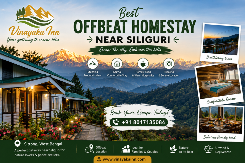 Why Choose the Best Offbeat Homestay Near Siliguri for a Peaceful Mountain Escape?